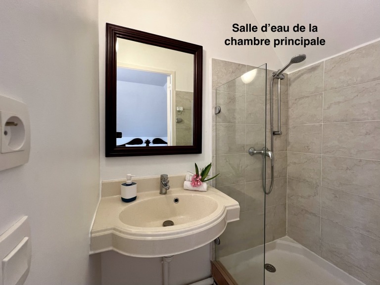 Salle d'eau de la chambre principale